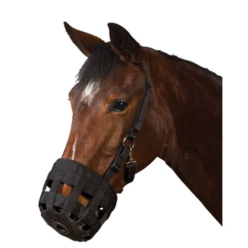 grazing muzzle for dogs