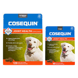 Nutramax Cosequin for Dogs Joint Health Supplement, Contains Glucosamine for Dogs, Plus Chondroitin, MSM and Omega-3s, Supports Joint and Skin and Coat Health, For All Breeds and Sizes, Soft Chews