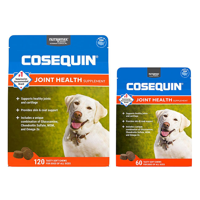 Nutramax Cosequin for Dogs Joint Health Supplement, Contains Glucosamine for Dogs, Plus Chondroitin, MSM and Omega-3s, Supports Joint and Skin and Coat Health, For All Breeds and Sizes, Soft Chews image number null