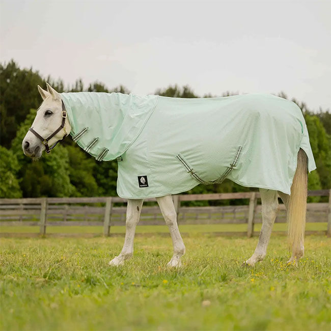 Equinavia Brisk Fly Sheet with Detachable Neck - Misty Jade image number null