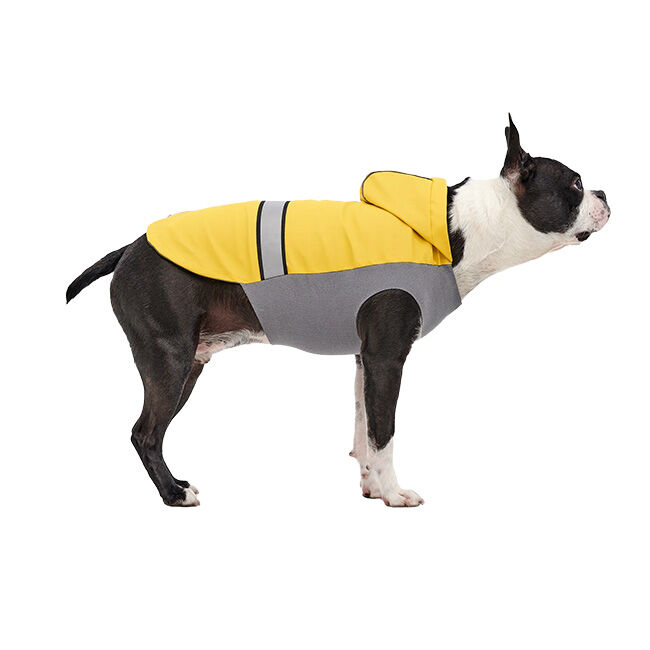Goo-eez Reflective Hooded Raincoat for Dogs - Yellow image number null