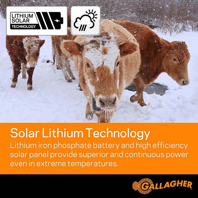 Gallagher S80 Lithium Solar Fence Energizer image number null
