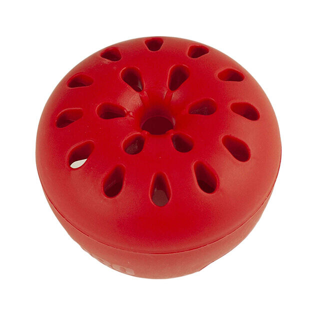 TERRO Fruit Fly Trap - 2-Pack image number null