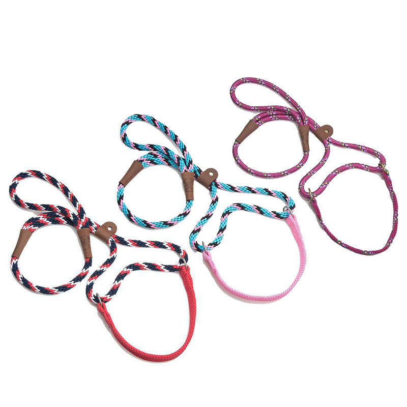 Mendota Pet Dog Walker Martingale Style Dog Collar Leash The