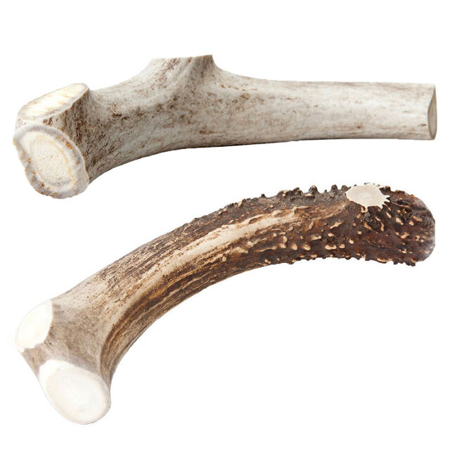 Chasing Our Tails Deer Rack Snack - Deer Antler Dog Chew image number null