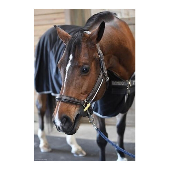 ThinLine Halter Bridle Buddy image number null