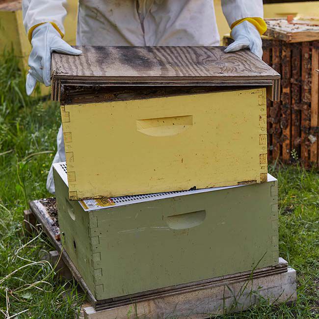 Little Giant Beekeeping Queen Excluder image number null