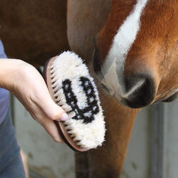 Tail Tamer Wood Grip Boar Bristle Brush