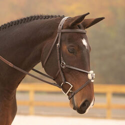 KL Select Black Oak Cedar Figure 8 Bridle