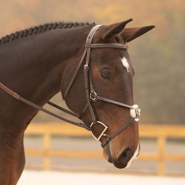 KL Select Black Oak Cedar Figure 8 Bridle image number null