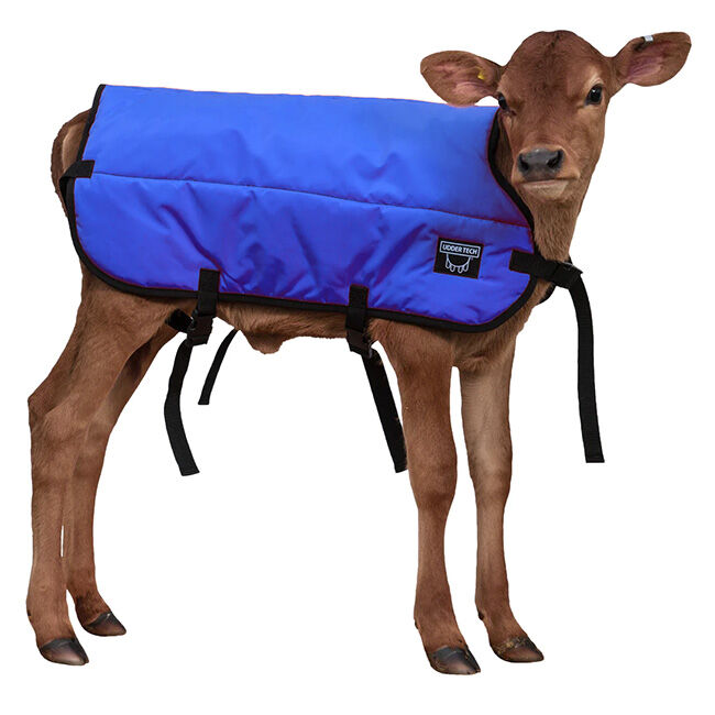 Udder Tech Calf Blanket image number null