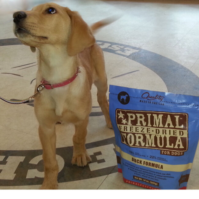 Primal Freeze Dried Duck Nuggets Dog Food image number null