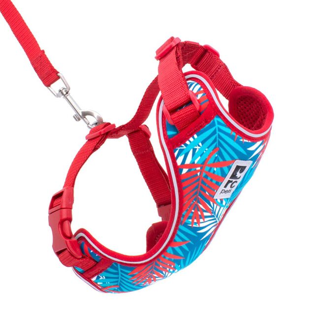 RC Pets Adventure Kitty Cat Harness The Cheshire Horse