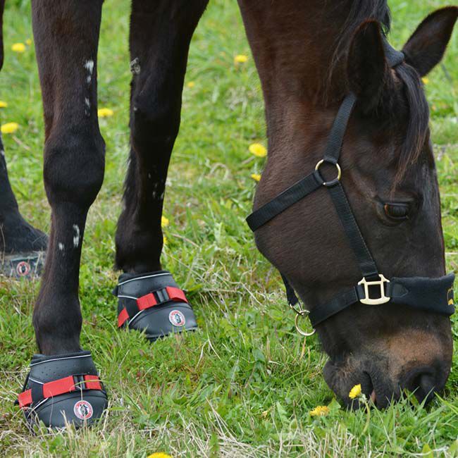 Equine Fusion Ultra Jogging Shoe image number null