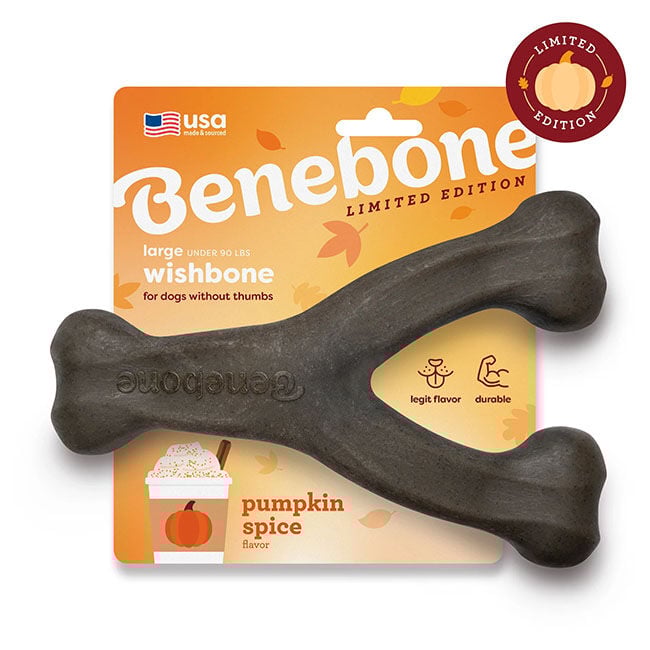 Benebone Wishbone Dog Chew - Pumpkin Spice Flavor image number null