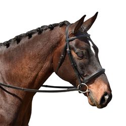 Bobby's English Tack Signature Series Padded Monocrown Dressage Bridle