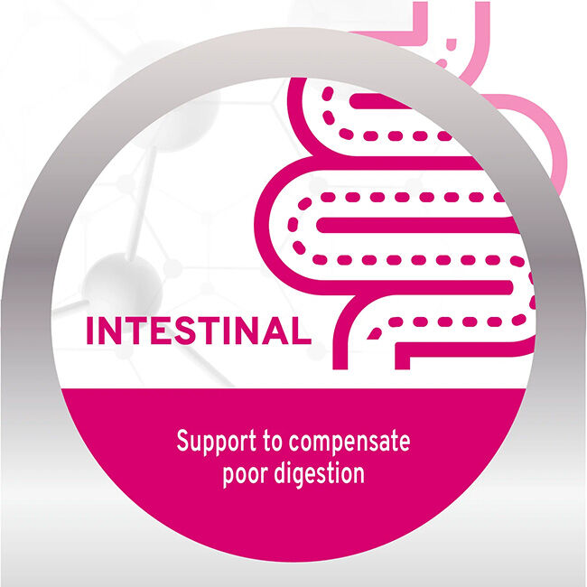 Forza10 Nutraceutic Active Dog Food - Intestinal Support Diet image number null