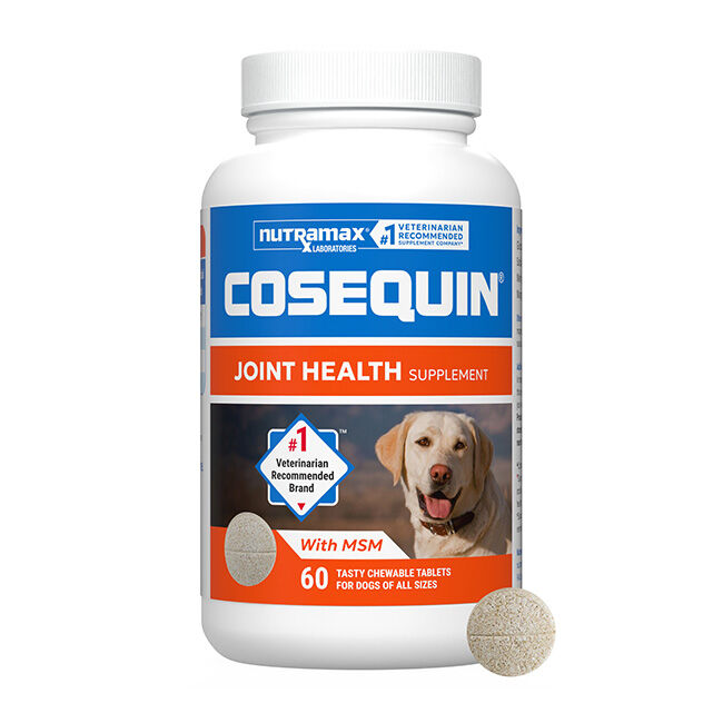 Nutramax Cosequin for Dogs Joint Health Supplement, Contains Glucosamine for Dogs, Plus Chondroitin and MSM, Supports Healthy Joints, For All Breeds and Sizes, Chewable Tablets image number null