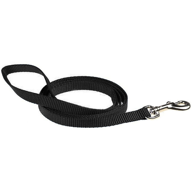 RC All Webbing Training Collar Tribeca image number null