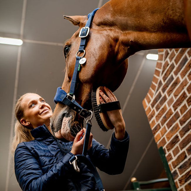 Horseware Signature Grooming Halter - Navy image number null