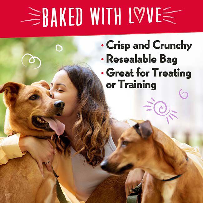 Charlee Bear Bearnola Bites - Pumpkin Spice Flavor - 8 oz image number null