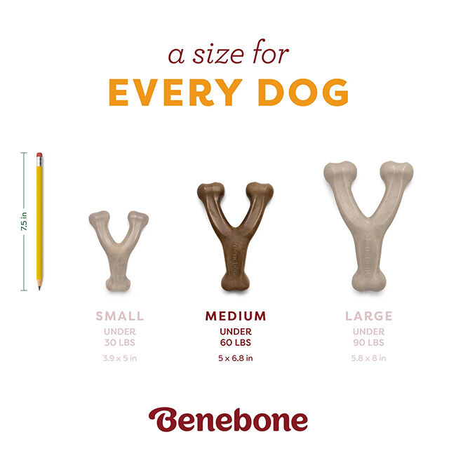 Benebone Wishbone Dog Chew - Pumpkin Spice Flavor image number null