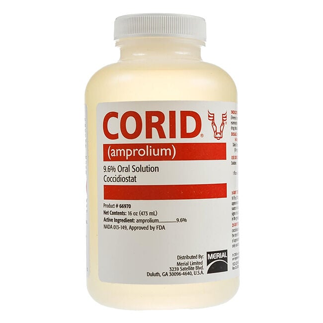 Merial Corid Solution - Treats Coccidiosis in Calves image number null