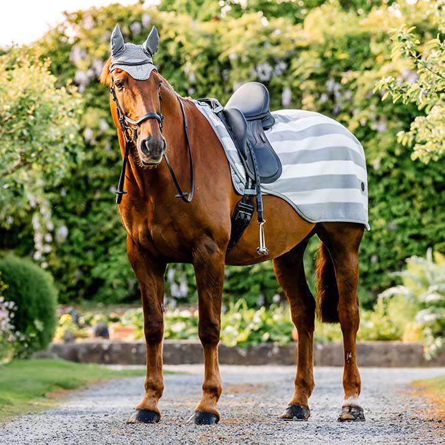 Horseware Newmarket Exercise Sheet - Witney Charcoal image number null