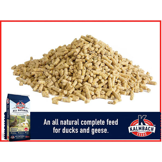 Kalmbach Feeds 18% Duck, Goose & Swan Feed - 10 lb image number null