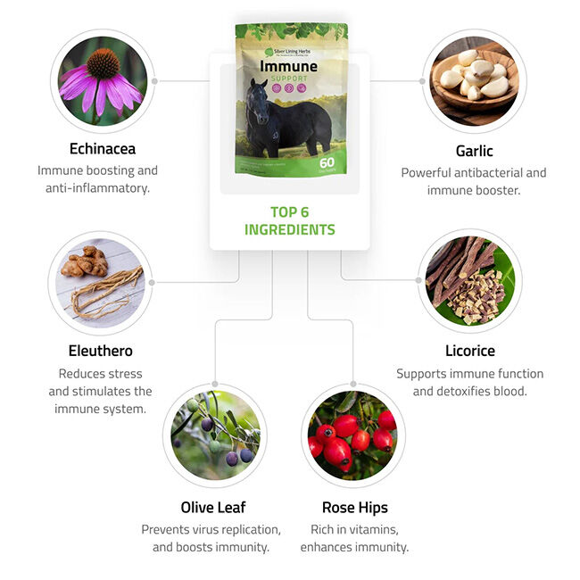 Silver Lining Herbs Immune Support - 1 lb image number null