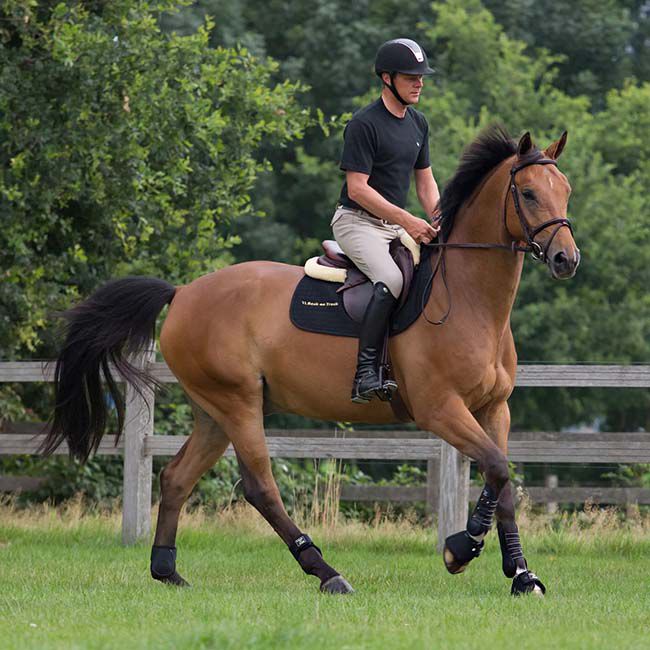 Back on Track Therapeutic Royal Work Boots image number null