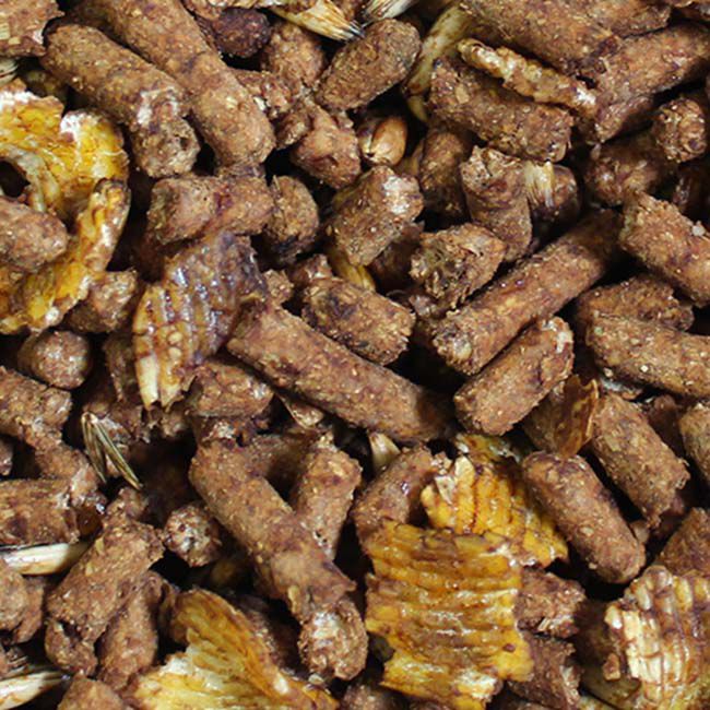 Poulin Grain Sweet Goat 18% - 50 lb image number null