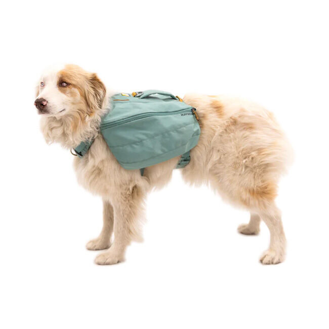 Ruffwear Front Range Day Pack - River Rock Green - Closeout image number null