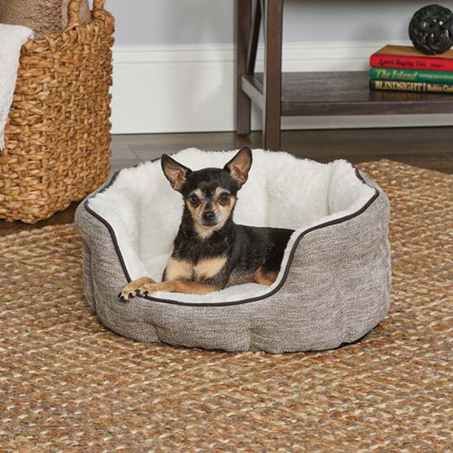 MidWest Homes for Pets QuietTime Deluxe Tulip Pet Bed image number null