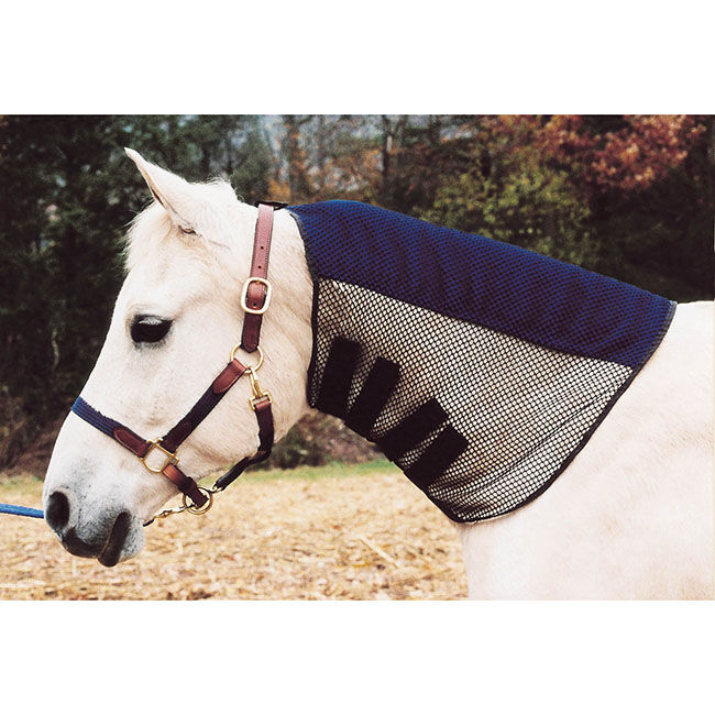 Tory Leather Mane Tamer - Assorted Colors image number null