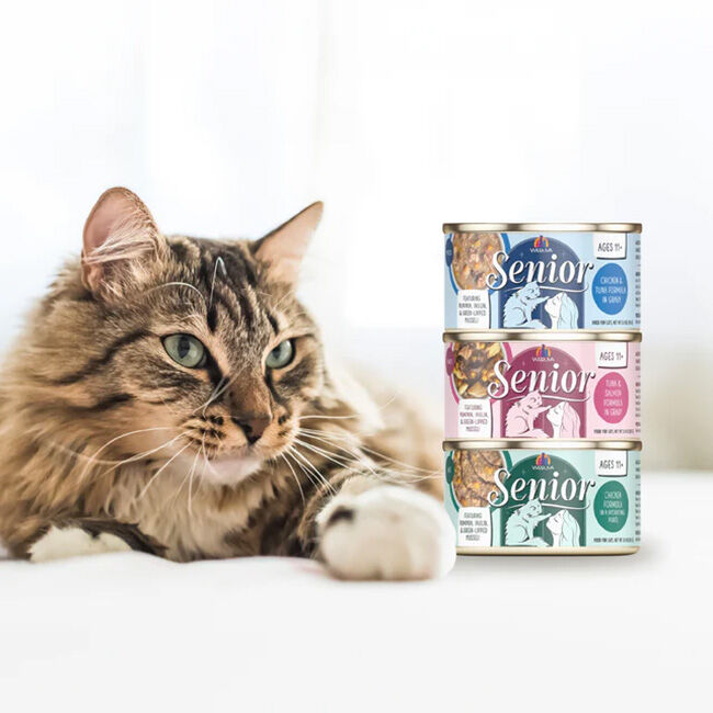 Weruva Senior Cat Food - Tuna & Salmon Formula in a Gravy - 5.5 oz image number null