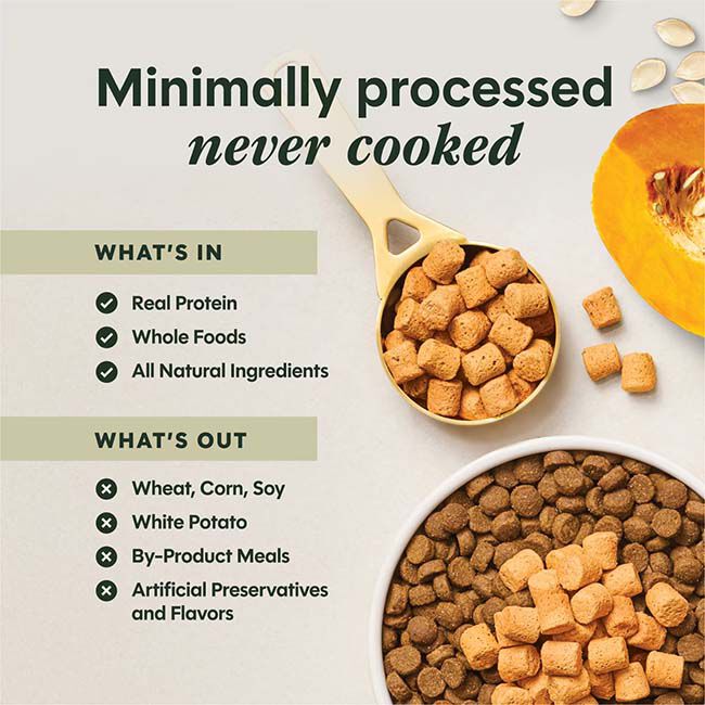 Instinct Freeze-Dried Raw Boost Mixers for Dogs - Gut Health Recipe image number null