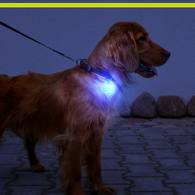 Petsport Bling Bling Blinker - Rechargeable LED Safety Light image number null