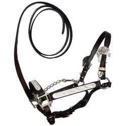 Tory Leather Rochester Style Show Halter in Dark Oil - Horse
