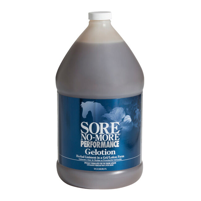 Arenus Sore No-More Gelotion Liniment image number null