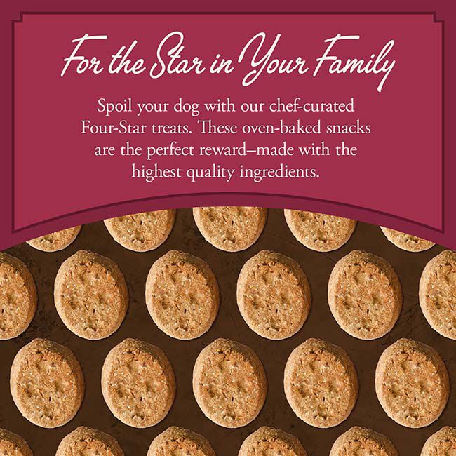 Fromm Four-Star Dog Treats - Salmon with Sweet Potato - 8 oz image number null