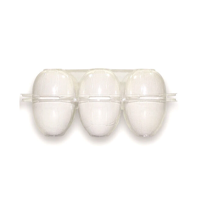 EggCartons.com Goose 6-Egg Plastic Carton image number null