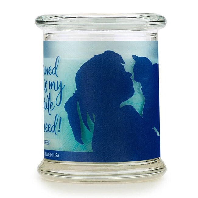 Pet House Candle Jar - Ocean Breeze image number null