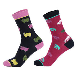 Shires Aubrion Bamboo Ankle Socks