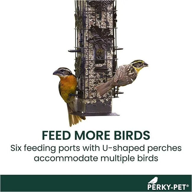 Perky-Pet Squirrel-Be-Gone Bird Feeder image number null