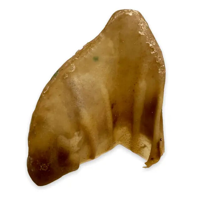 Smoked Pig Ear image number null