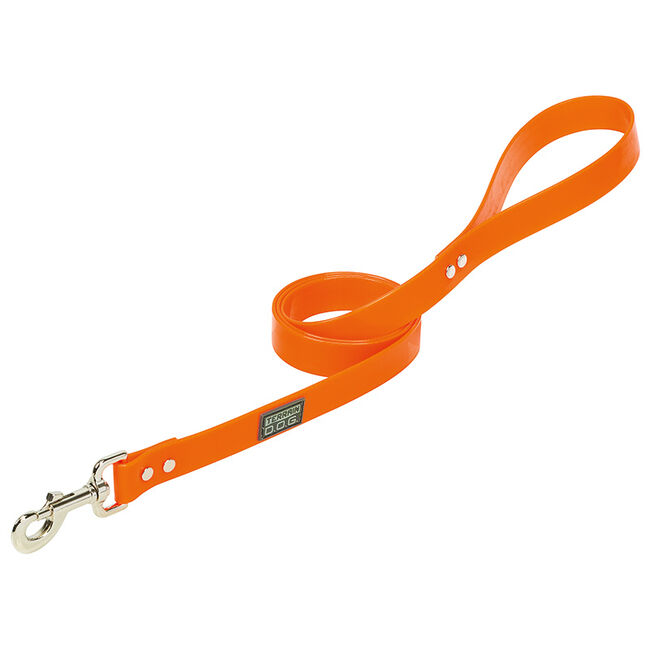 Terrain D.O.G. X-Treme Adventure Clear Coat Leash - Blaze Orange image number null