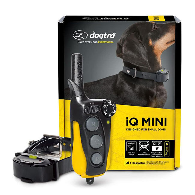 Dogtra iQ MINI Remote Dog Trainer The Cheshire Horse