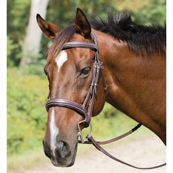 Shires Avignon Wellington Bridle