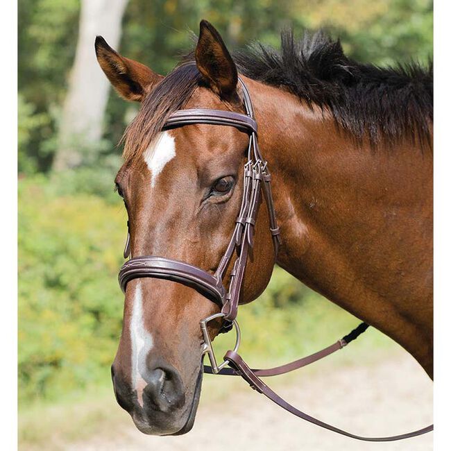 Shires Wellington Bridle image number null
